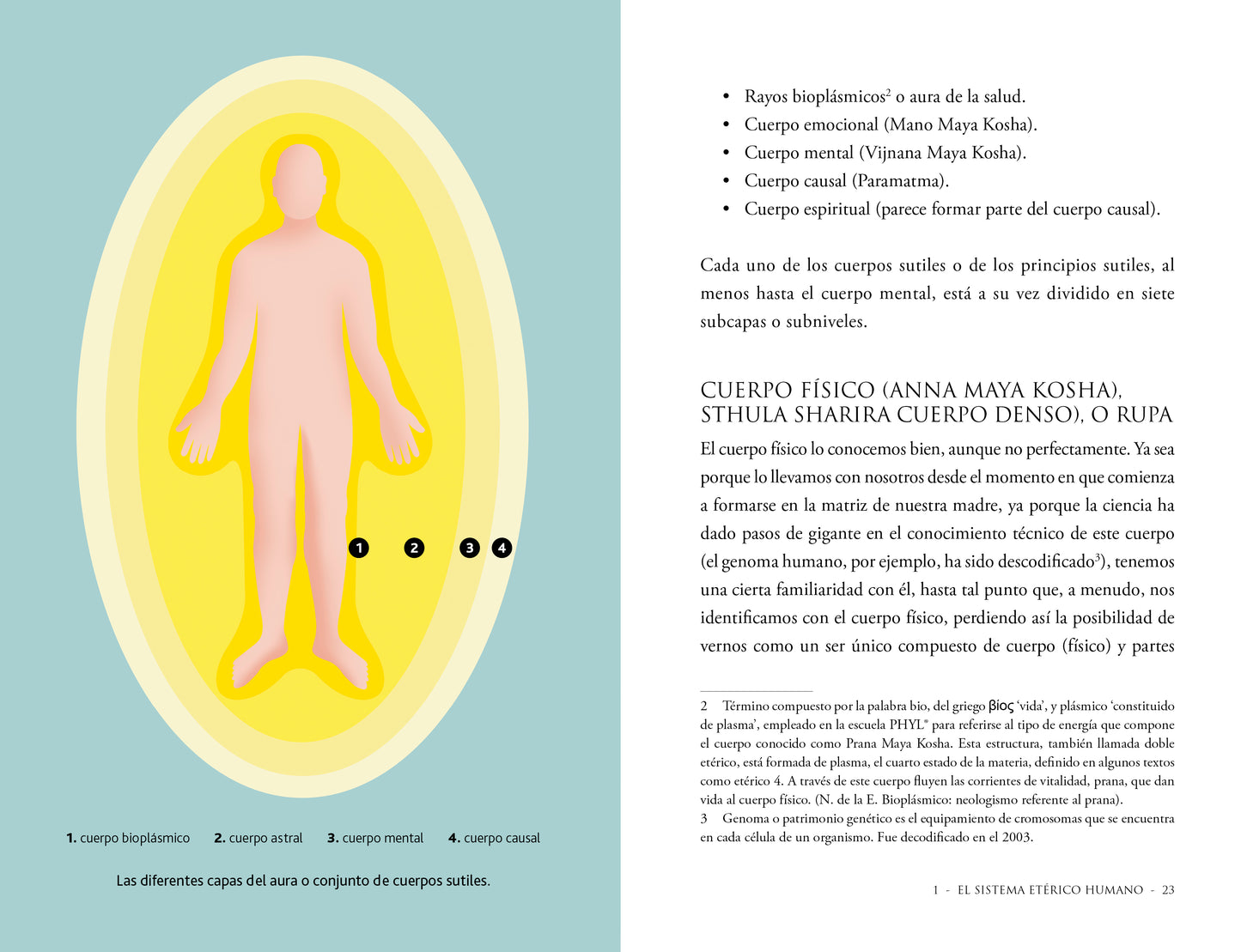Chakras